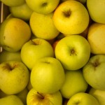 Mercato Ortofrutticolo | Frutta | Mele golden